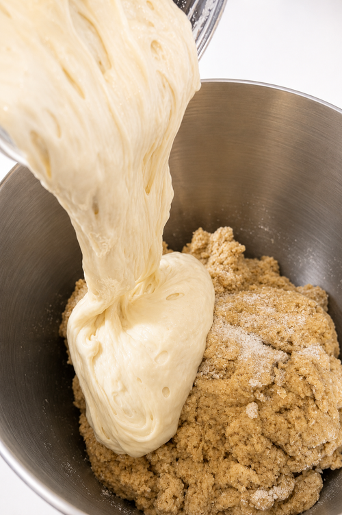 Opal Mae Dehydrated Sourdough Starter Culture